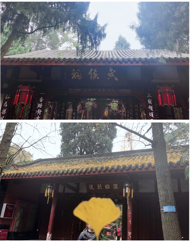 1611195989338222.jpg 9.jpg