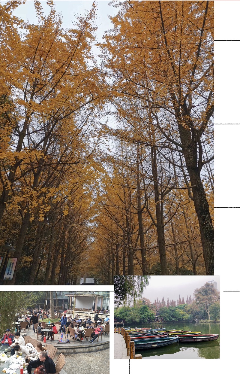 1611196022979321.jpg 12.jpg