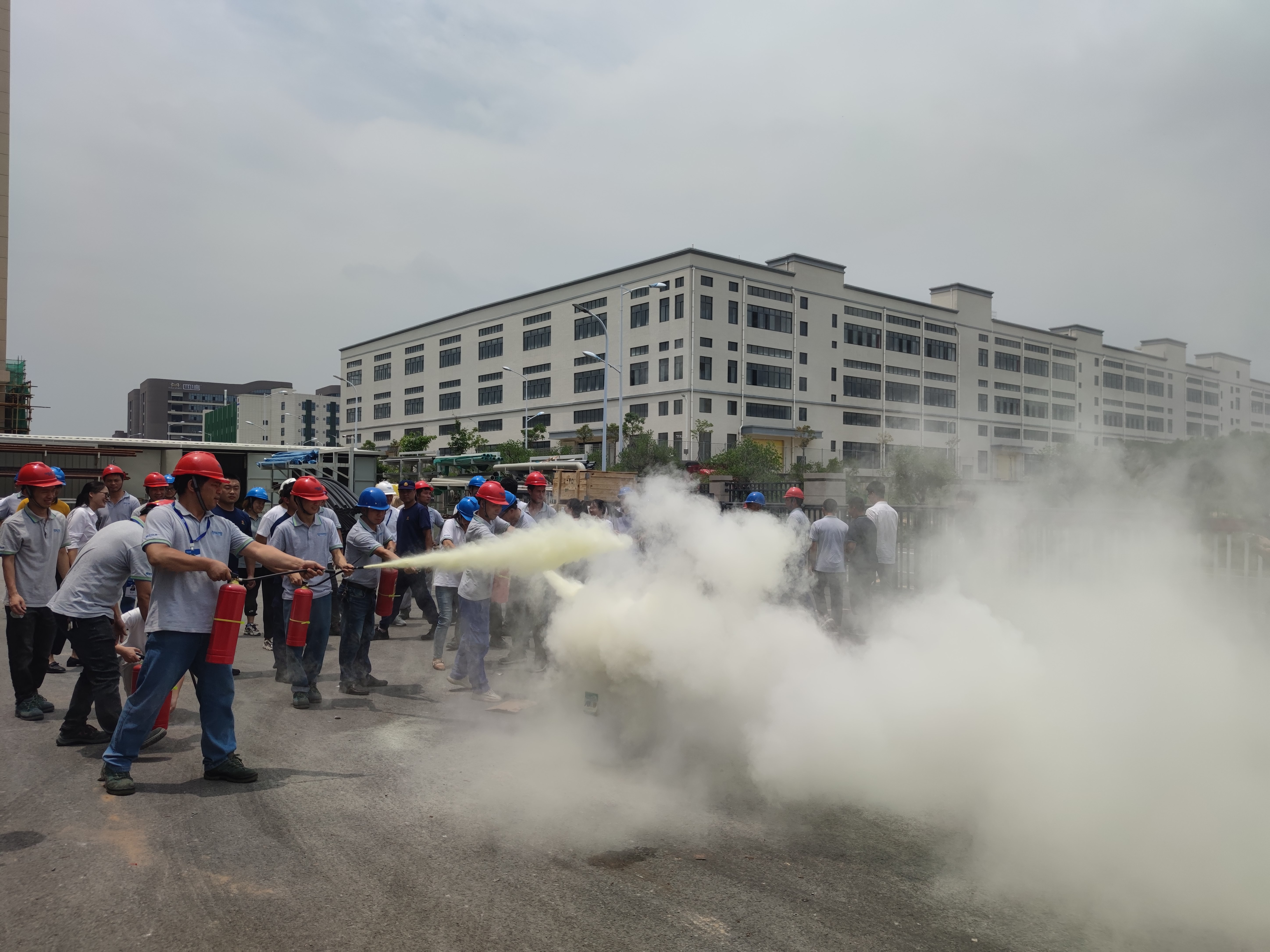 1623058368181674.jpg 1623058368181674.jpg